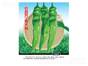 �r(n��ng)���f�i���c-�ݽz���N��-�r(n��ng)���f