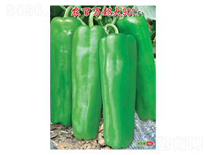 �r(n��ng)���f����901-�ݽ��N��-�r(n��ng)���f