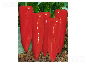 �t������-�ݽ��N��-�r(n��ng)���f