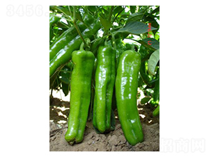 ����-�ݽ��N��-�r(n��ng)���f