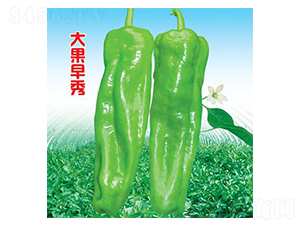 �������-�ݽ��N��-�r(n��ng)���f