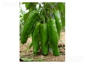 ��܊-�ݽ��N��-�r(n��ng)���f