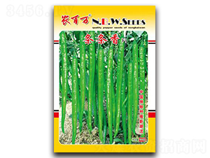 �l�l��F1-�����N��-�r(n��ng)���f