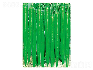 �A������-�����N��-�r(n��ng)���f