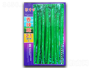 ������21̖-�����N��-�r(n��ng)���f