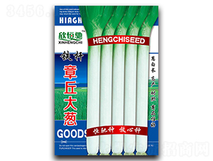 �F�U������[-���[�N��-���Y�N�I(y��)