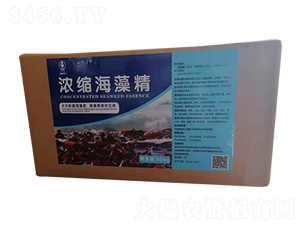 ��s���徫-��T�r(n��ng)�I(y��)