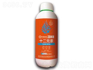 ʮ��Ԫ��-�ж��r(n��ng)��