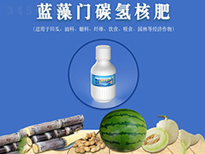 �{(l��n)���T̼?x��)�˷?���S