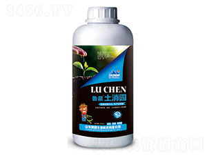 �����@-����-�̳�����