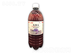 ΢�������-�l(f��)�S��-���r(n��ng)�A��