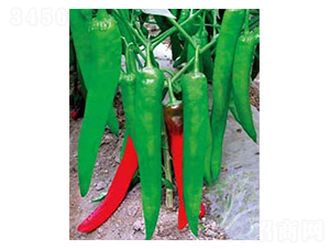 �н���̖-�����N��-�A�S�N�I(y��)