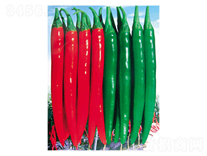 �t��1̖-�����N��-�A�S�N�I(y��)