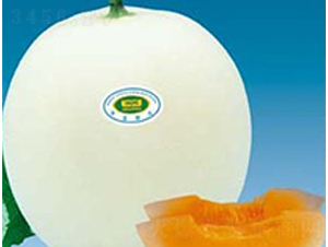 �����̖-��ϷN��-�A�S�N�I(y��)