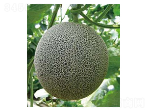 759-��ϷN��-�A�S�N�I(y��)