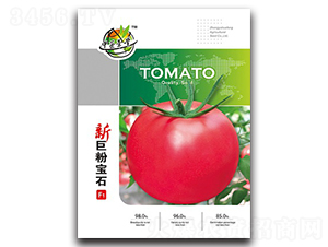 �¾޷ی�ʯ-���ѷN��-�A�S�N�I(y��)