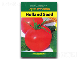 ���m���-���ѷN��-�A�S�N�I(y��)