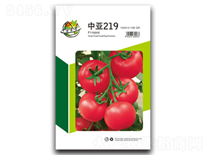 �Ё�219-���ѷN��-�A�S�N�I(y��)