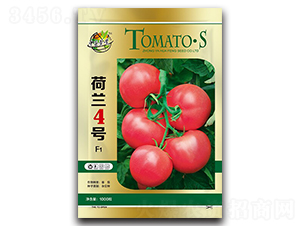 ���m4̖(h��o)-���ѷN��-�A�S�N�I(y��)