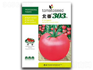 ����303-���ѷN��-�A�S�N�I(y��)