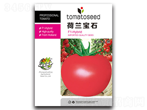 ���m��ʯ-���ѷN��-�A�S�N�I(y��)