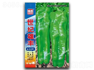 ���o���S-�ݽ��N��-�d�߷N�I(y��)