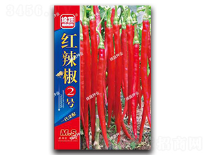 �t����2̖-�����N��-�d�߷N�I(y��)