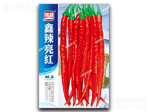 �������t-�����N��-�d�߷N�I(y��)