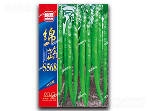 �d��S568-�����N��-�d�߷N�I(y��)