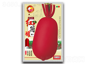 �tͲ��-�}���N��-�d�߷N�I(y��)