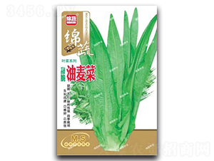 ���������-�����˷N��-�d�߷N�I(y��)