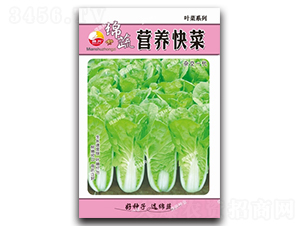 �I�B(y��ng)���-��˷N��-�d�߷N�I(y��)