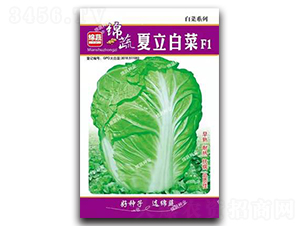 �����ײ�-�ײ˷N��-�d�߷N�I(y��)