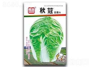 ���F-�ײ˷N��-�d�߷N�I(y��)