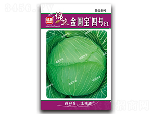 ���A����̖-���˷N��-�d�߷N�I(y��)