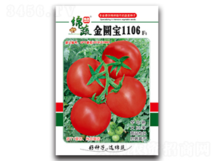 ���@��1106-���ѷN��-�d�߷N�I(y��)