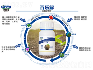 �٘���-˾����