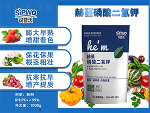 1000g��������-����-˾����