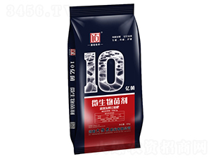 10�|������l(f��)�Ͷ�����-ɏ�����r