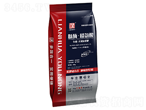 ��ø���������ЙC�o�C�ͻ��-ɏ�����r