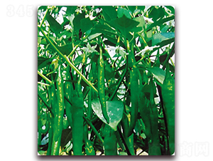 ����K3-�����N��-��֮�W