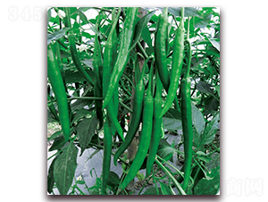 �㽷3̖-�����N��-��֮�W