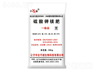 ������V��-ǧԽ