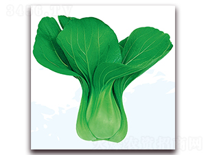 �۹�1̖(h��o)-�ײ˷N��-��֮�W