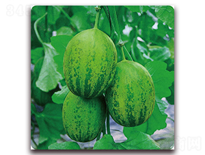 ��G-��ϷN��-��֮�W