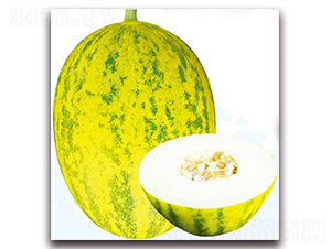 ����-��ϷN��-��֮�W