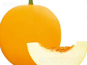 ����ɯ��3̖-��ϷN��-��֮�W