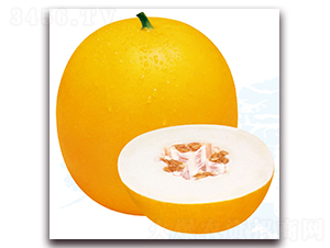 ����5̖-��ϷN��-��֮�W