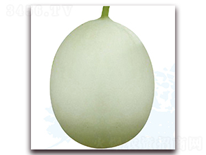 ����7̖-��ϷN��-��֮�W