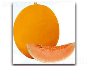 �{��-��ϷN��-��֮�W